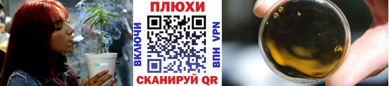 ГАШ Premium KRAKEN площадка какой сайт купить наркотик Новая Ладога