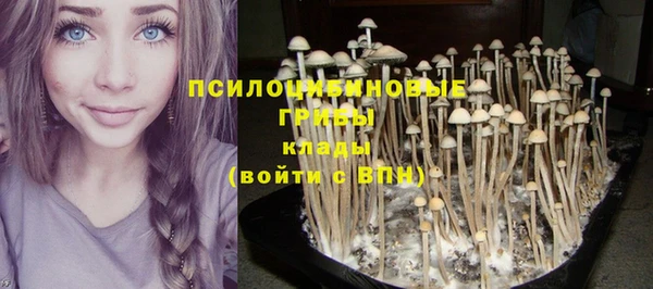 ешки Алексеевка